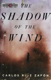 The Shadow of the Wind
