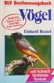 Vögel