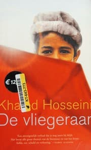 De vliegeraar