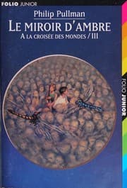Le miroir d'ambre