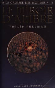 Le miroir d'ambre
