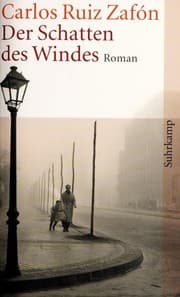 Der Schatten des Windes