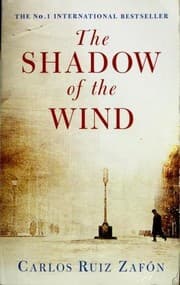 The Shadow of the Wind