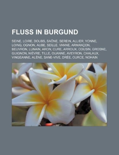Fluss in Burgund