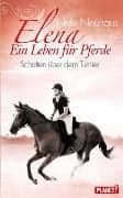 Elena – Ein Leben für Pferde 3: Schatten über dem Turnier